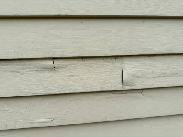 Best Custom Trim and Detailing for Siding  in Lakeview Estates, GA